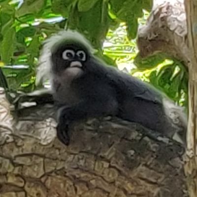 mmirshafie's profile picture. 