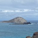 Tia Beck - @TiaRayne2409 - Twitter