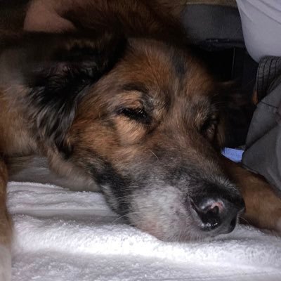 getoveritasap's profile picture. Traveling through life, one day at a time