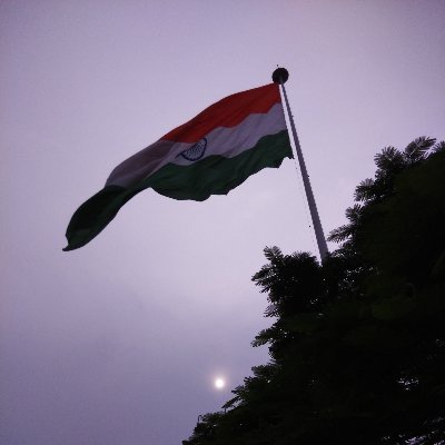 turtletrader29's profile picture. 