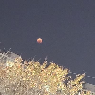 헤이엘さんのプロフィール画像
