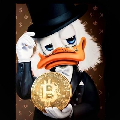 Ninjacryptoduck's profile picture. 