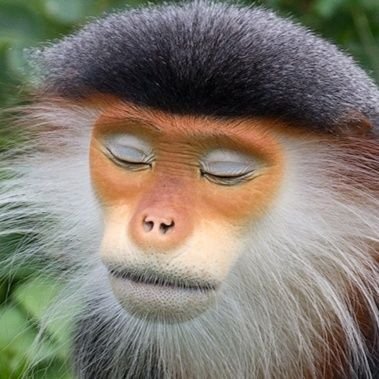 That_SJW_Cuck's profile picture. 22 transfem australian butch