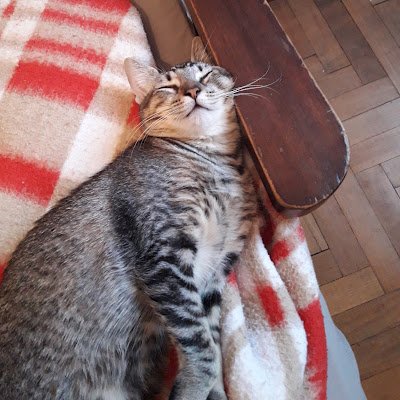 MartinIbanez_7's profile picture. Sólo me interesa la sabiduría del buen vivir. Im learning to live