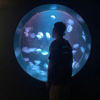 Alex (@hvxw3gosard5re2) 's Twitter Profile