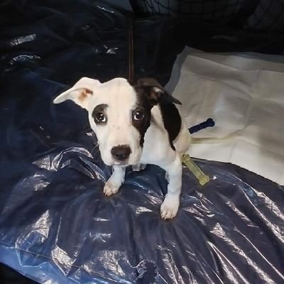 LOUGRAND82's profile picture. 😊