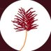Ayden (@aydencs2) Twitter profile photo Ayden (@aydencs2) Twitter profile photo