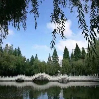 Abdoula43413647's profile picture. 