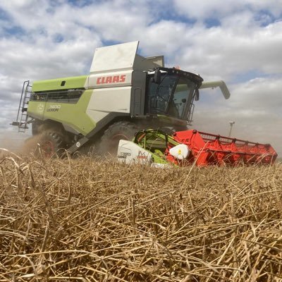 Mark_Shera80's profile picture. 