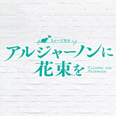 【新アカウント】 ミュージカル『アルジャーノンに花束を』2023年4月～5月、東京・大阪にて上演！ #浦井健治 #大山真志 #長澤風海 #若松渓太 #大月さゆ #藤田奈那 #渡来美友 #東山義久 #北翔海莉  #アルジャーノンに花束を