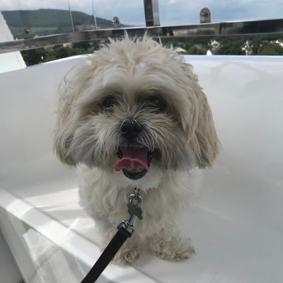 HazelDevine16's profile picture. 