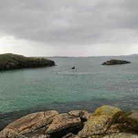 Saoirse (@josephr60039766) 's Twitter Profile
