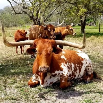 MarshaBrady67's profile picture. 