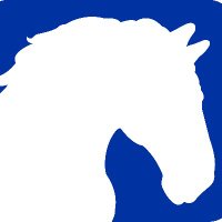 National Equine Welfare Council (NEWC)(@NationalEWC) 's Twitter Profile Photo