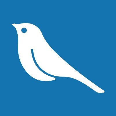 IslandBirdProj Profile Picture