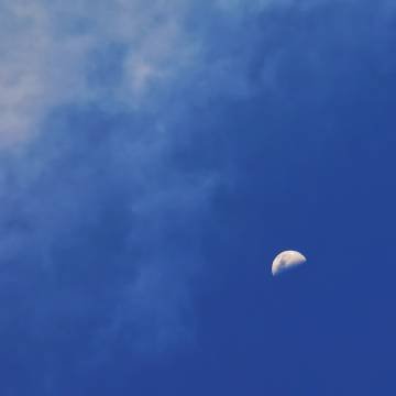 KaswatiNc's profile picture. https://t.co/zKBO6nHAjl