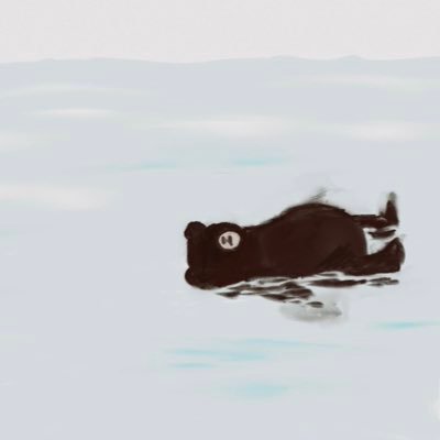 江渡きりこさんのプロフィール画像
