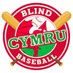Blind Baseball Cymru (@b4bcymru) Twitter profile photo Blind Baseball Cymru (@b4bcymru) Twitter profile photo