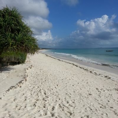 redmix2000's profile picture. 