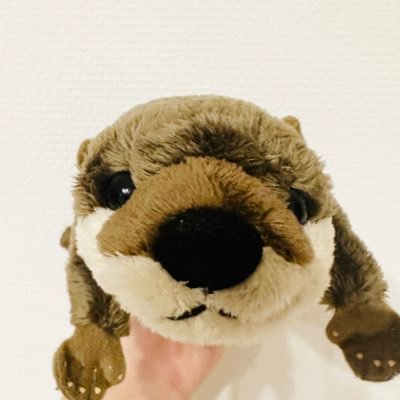 インスタ頑張っている人🤫最近ぼやいてばかりなので、ウミホントになりました🦝2021 .12.27〜スタート、2022.5.22万アカ達成！ 2022.6.20に2万達成！ 有益なことは呟きません🦝 ボヤキかぼやきか嬉しかったこと🦝