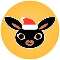 Rabbit Coin (@rabbitcoine) 's Twitter Profile