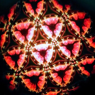 P3R1LL4S's profile picture. The best books are the ones that tells us what we already know.