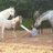 larita_22's profile image