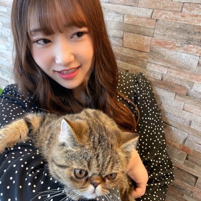 nagoya 22歳 🚗AMGC63s👨🏻よちき🐱ねこ2匹(エキゾ)