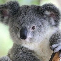 TANSTAAFL (@outbacknate) 's Twitter Profile