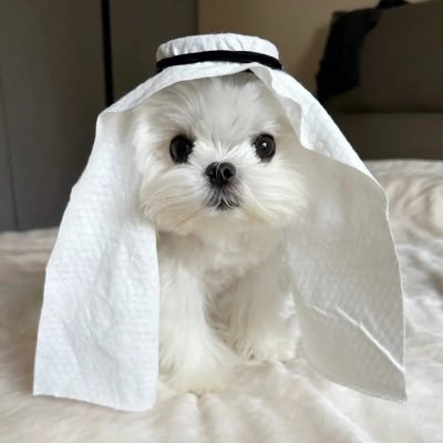 yuri6016's profile picture. 