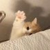 RJ (@injunniie) Twitter profile photo RJ (@injunniie) Twitter profile photo