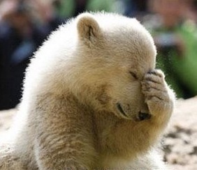 poker_face_palm's profile picture. anonymous vulgaris