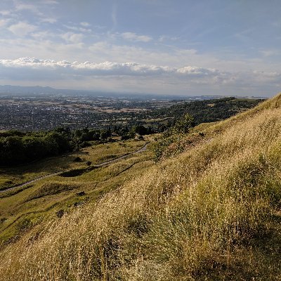 randomstuff3812's profile picture. Random stuff.