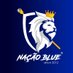 Nação Blue 🦁💙 (@nacaoblue_) Twitter profile photo