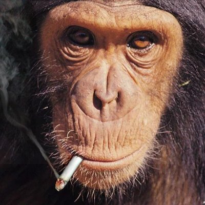 bpjsbal's profile picture. 