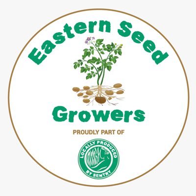 Seed Potatoes Growers and Retailers based in South Norfolk.