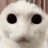 championwaltz's profile image