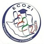 ECOZI (@ecozim) 's Twitter Profile
