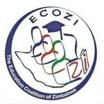 ECOZI(@ecozim) 's Twitter Profileg