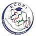 ECOZI (@ecozim) Twitter profile photo ECOZI (@ecozim) Twitter profile photo