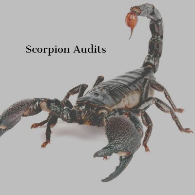 Scorpion Audits