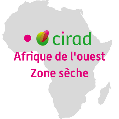 La recherche agronomique pour le développement dans les zones sèches de l'Afrique de l'Ouest.