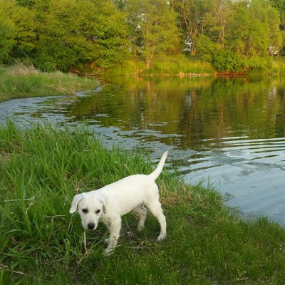 LeighHellbusch's profile picture. 