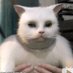 Dimaw (@dimaw63280353) Twitter profile photo Dimaw (@dimaw63280353) Twitter profile photo