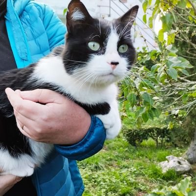 Urrutxi1's profile picture. 