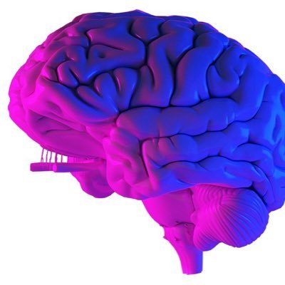 The Cortex Club Profile