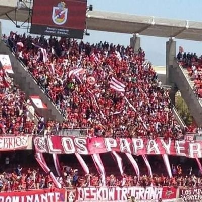Cuenta no oficial de Deportes La Serena, informamos sobre el granate de chile, el primero del Norte y el más grande de la región #SoyPapayero
