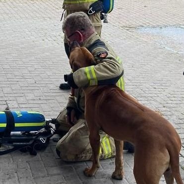 BunskoekDirk's profile picture. 