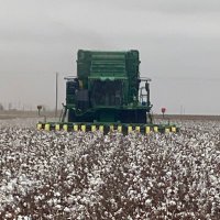 Brad Heffington 🌵🌵🏈 (@bradheffington) 's Twitter Profile Photo