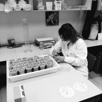 Maria Arias (@mariaariastec) 's Twitter Profile